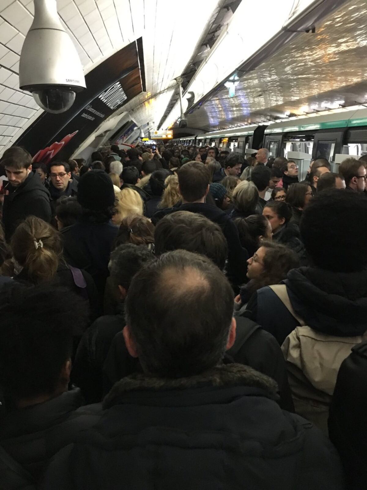 Se roba una cabra, se monta al metro de París con ella y forma revulú