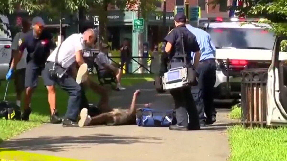 Unas 71 personas sufren sobredosis en un mismo parque por marihuana sintética