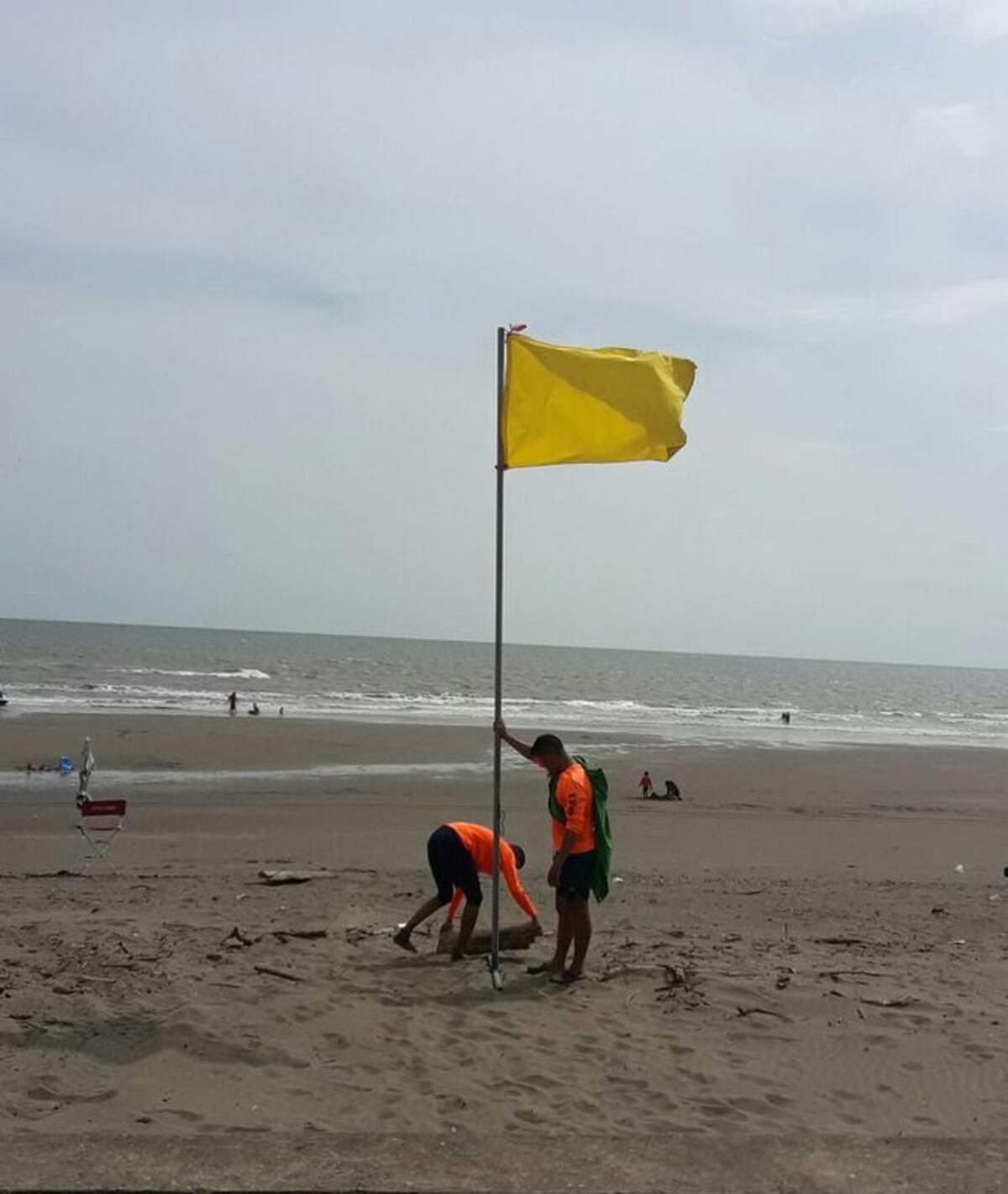 ¡UY! Serpientes marinas en playa El Uverito causan revuelo