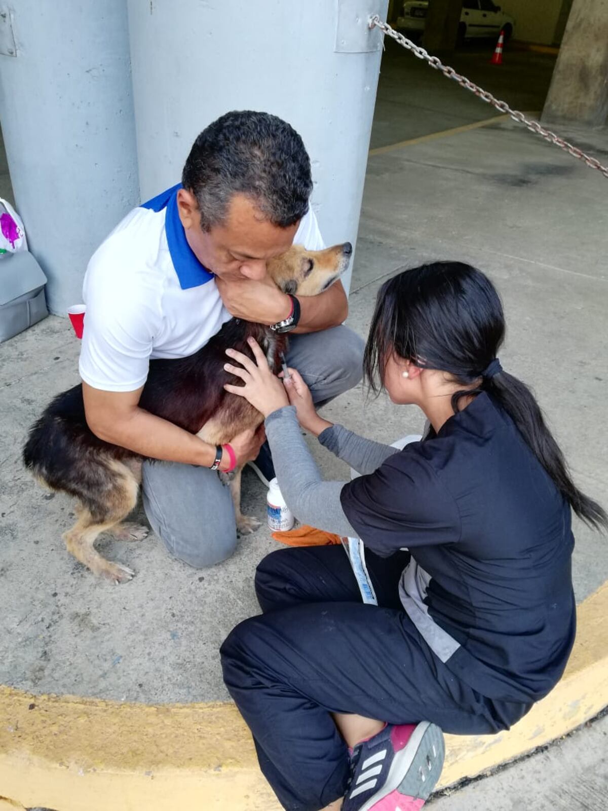 Firulay, la perra más famosa del Rod Carew, ahora tiene una nueva vida