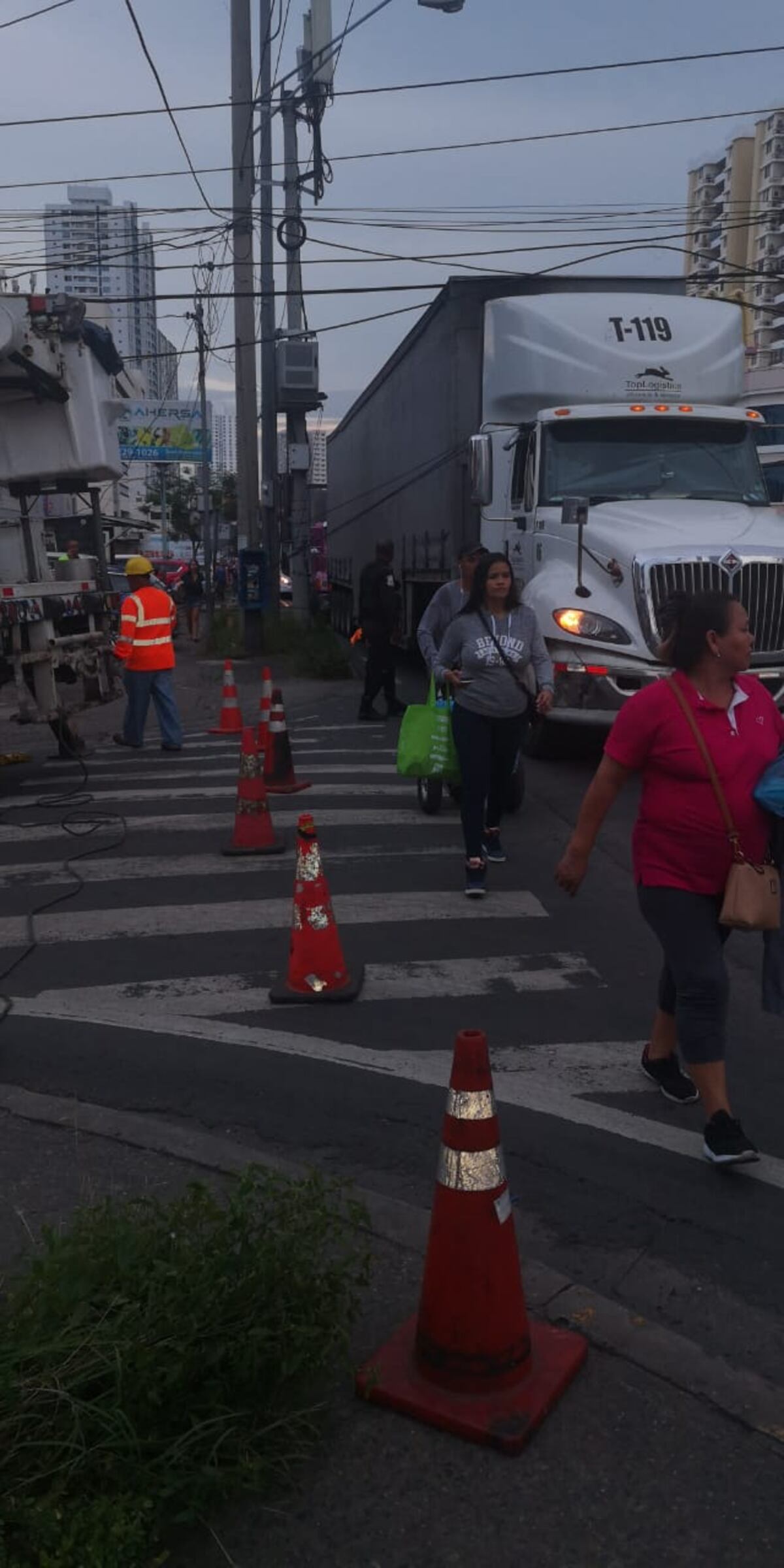 Tranque descomunal. Mula afecta tendido eléctrico en plena Vía España. Video