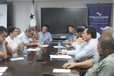 Molineros piden más importaciones de arroz y advierten riesgo por El Niño