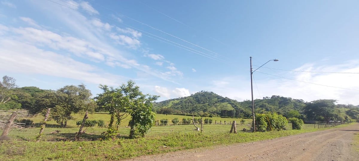 Desesperados. Residentes de Cañas en Tonosí tienen más de 48 horas sin electricidad