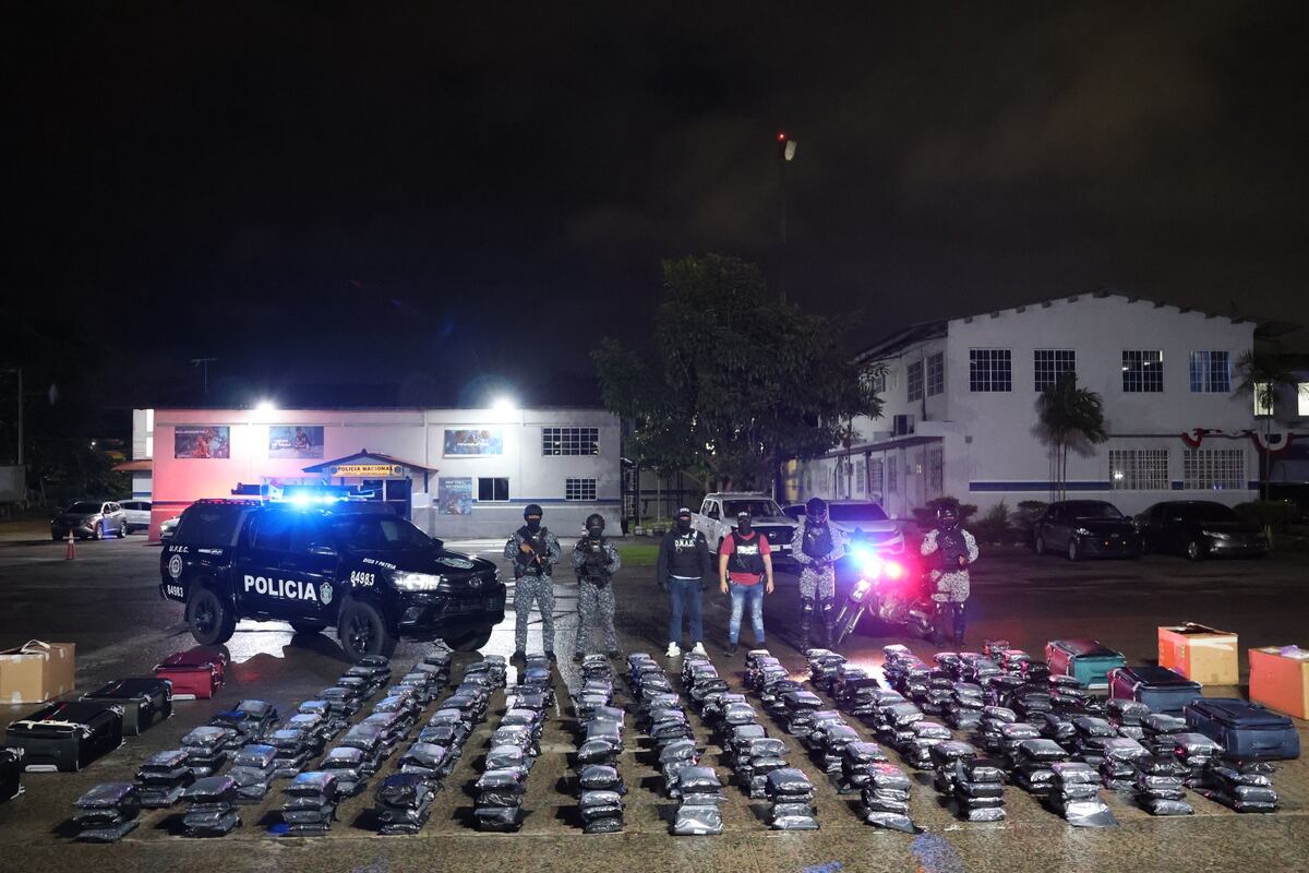 Dos intervenciones en una noche: decomisan cientos paquetes de presunta droga en San Miguelito y Los Santos