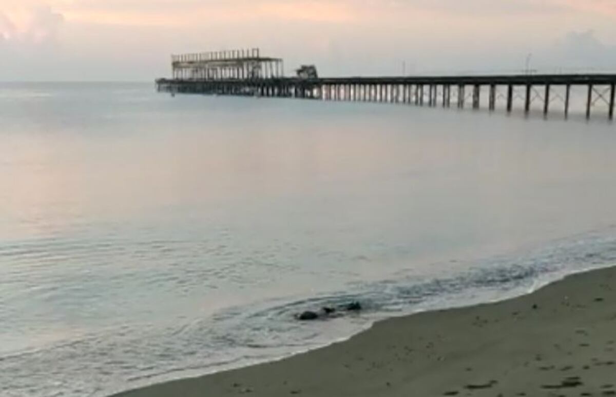 Lo hallan sin vida a orillas del malecón en Puerto Armuelles