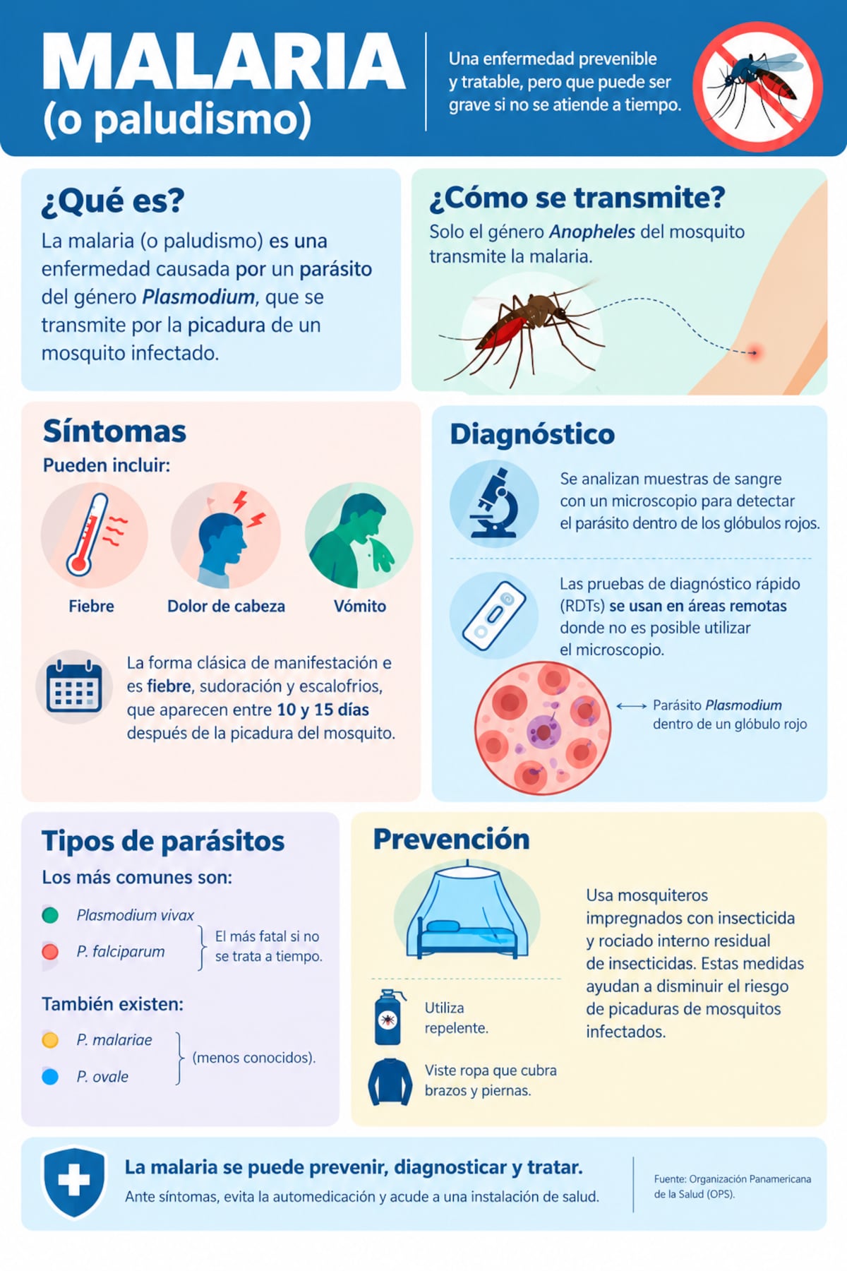 Minsa detecta 34 casos de malaria cerca de Merca Panamá: ¿se transmite por los alimentos?