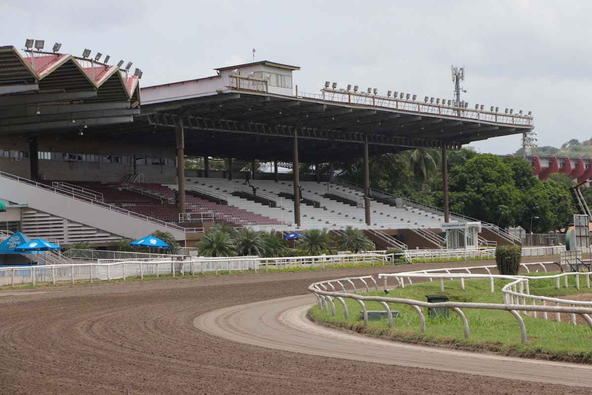 Autorizan la reapertura de la actividad hípica en el hipódromo Presidente Remón