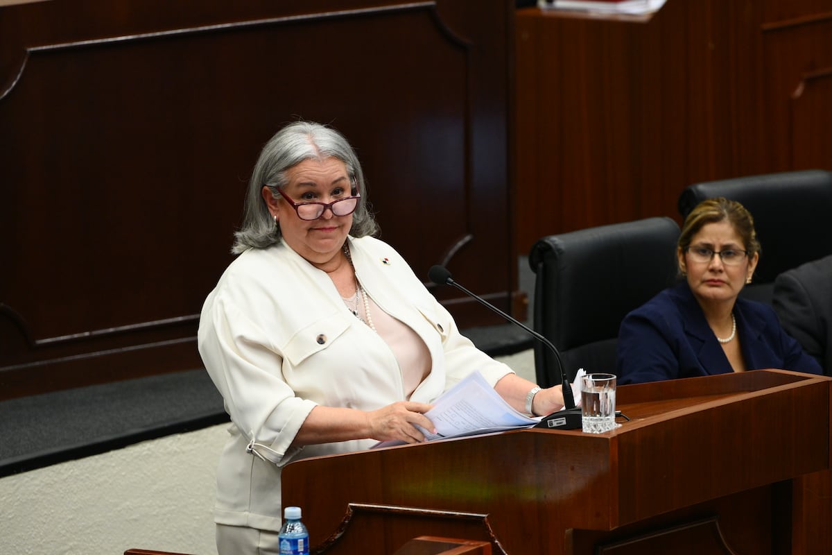 Ministra del Mides defiende sistema de protección infantil ante la Asamblea