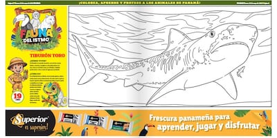Mi Diario trae la lámina del tiburón toro en ‘Fauna del Istmo’: colorea y conoce este gigante de las aguas panameñas