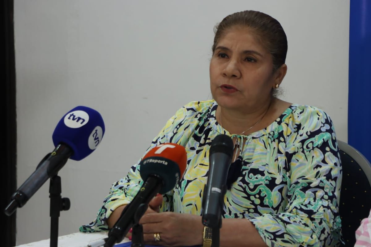 Capacitaciones Verano 2026 buscan reforzar el rediseño curricular en aulas