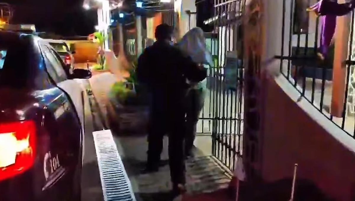 Pillan a taxista con dos terneros en el maletero en Penonomé