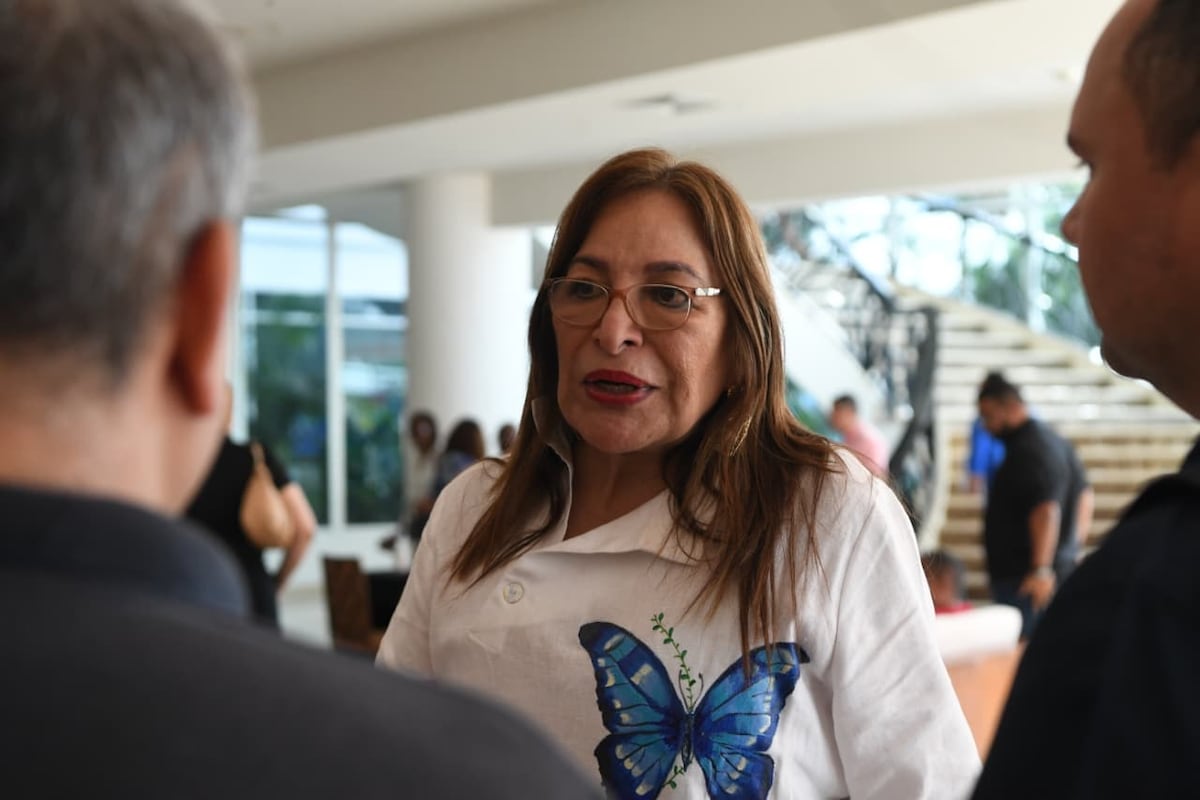 PRD marca distancia del Gobierno tras apoyo a Shirley Castañedas