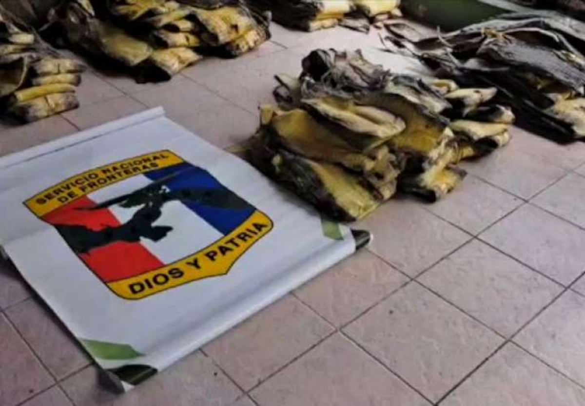 Un adolescente y tres adultos detenidos por tráfico de piel de cocodrilo en Chepo