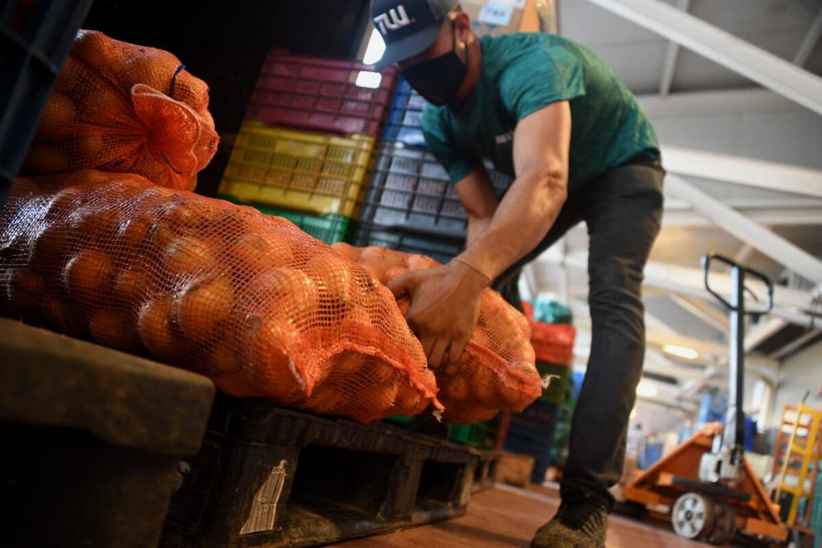 Productor de Tierras Altas: ‘Hoy enfrentamos una crisis abismal. Tenemos una escasez de cebolla que ya habíamos anunciado’
