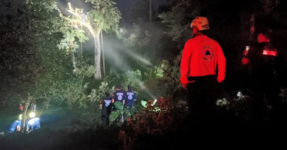 Presunta descarga eléctrica lo alcanza en un árbol en Chiriquí
