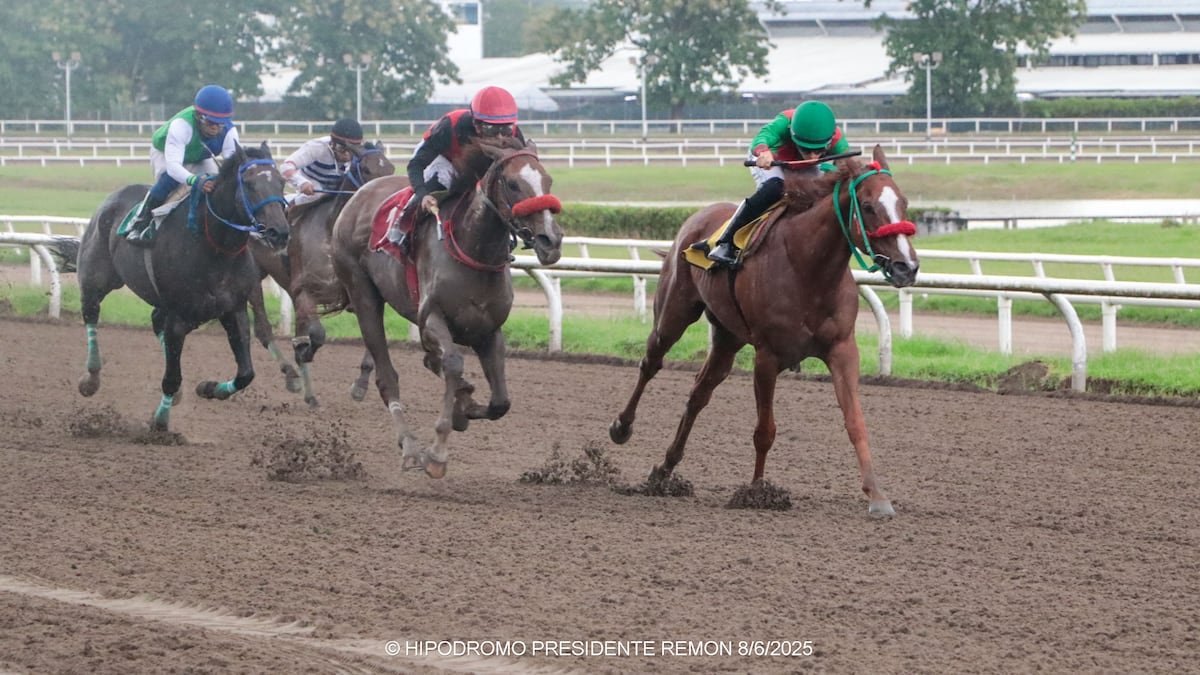 Clásico Temístocles Díaz: El inicio de la ruta hacia la Copa Dama del Caribe
