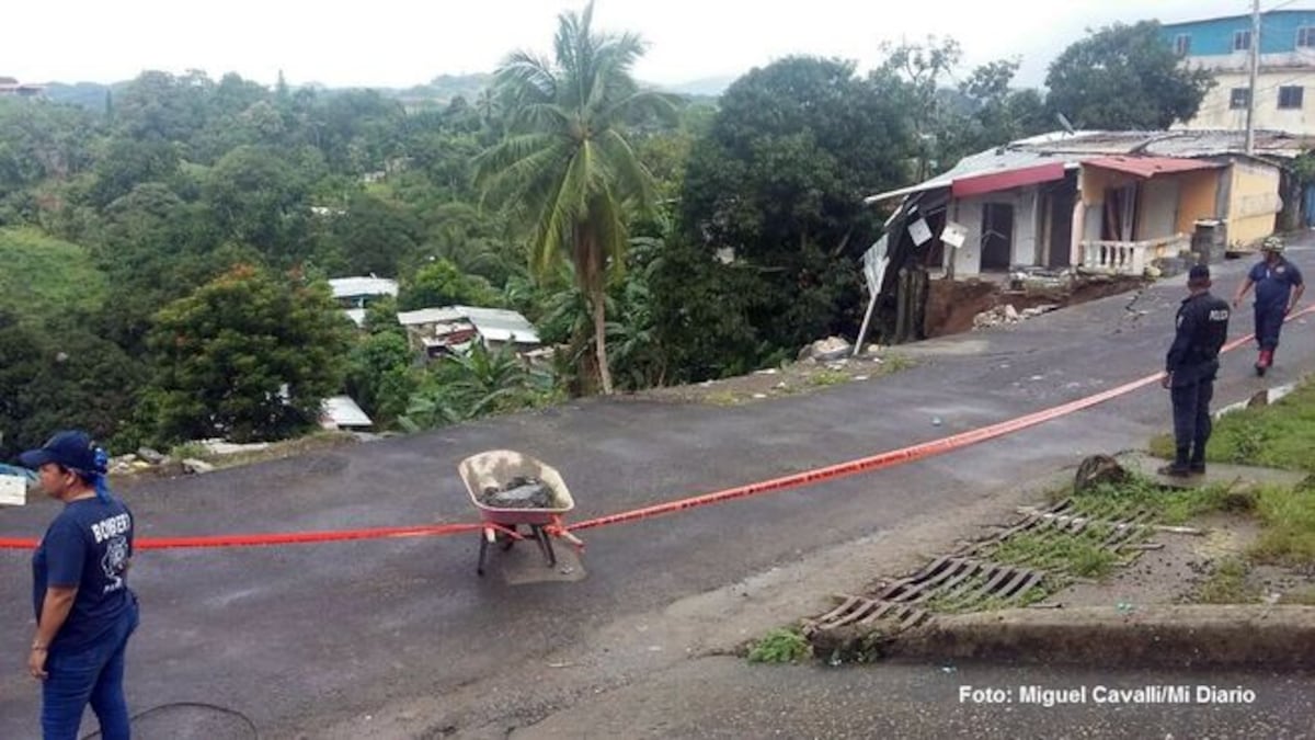 Annette Quinn y su perro rescatista buscan al desaparecido de Nueva Libia