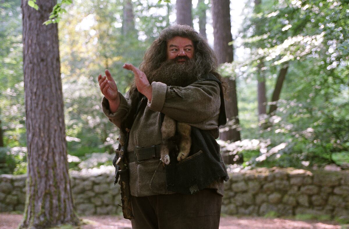 Fallece actor de ‘Hagrid’ en la saga de películas de Harry Potter