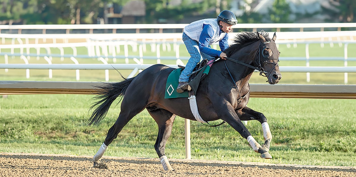 Luis Sáez va por los $7 millones con Knightsbridge en la Breeders’ Cup Classic