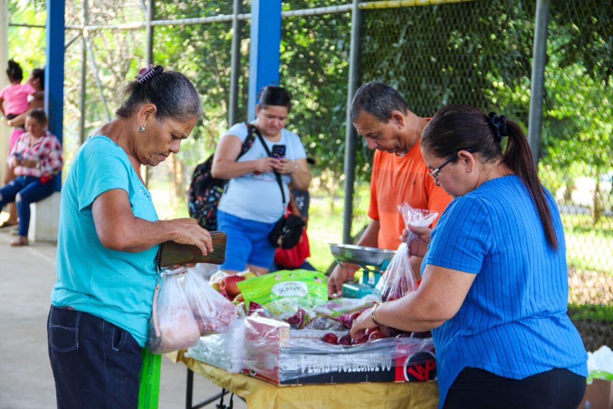 IMA aclara críticas y defiende calidad de sus frijoles
