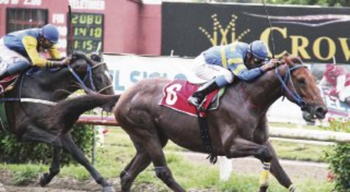 Hípica. Llegaron los aprontes y pronósticos del fin de semana