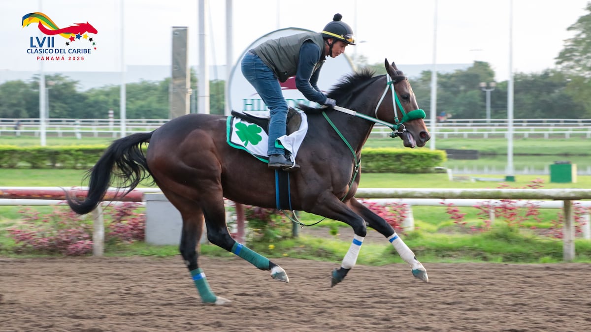 Lodyto Race, el potro mexicano que domina rumbo al Clásico del Caribe 2025