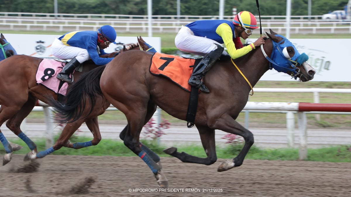 ¡Líderes del Hipódromo Remón 2025: Yonis Lasso arrasa y Stud Kung Hey domina!