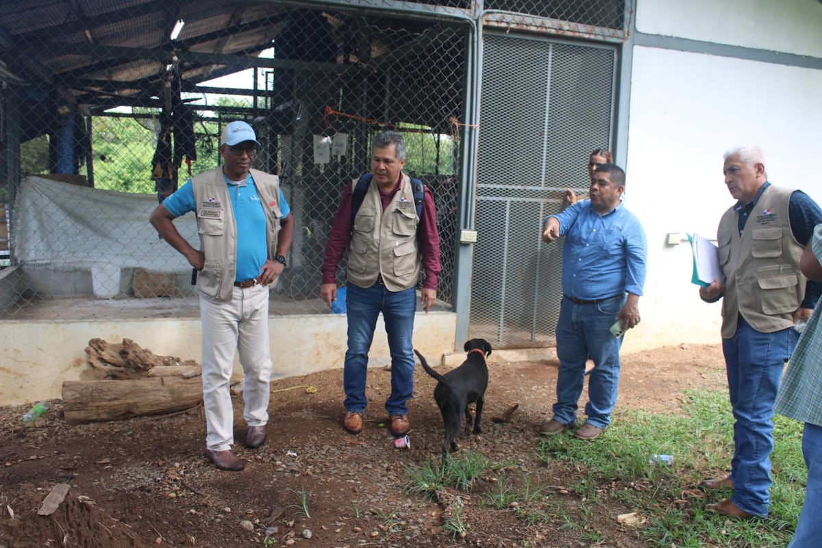 Tras dos contagios de hantavirus, equipos de salud refuerzan prevención y darán charlas a agricultores en Montijo