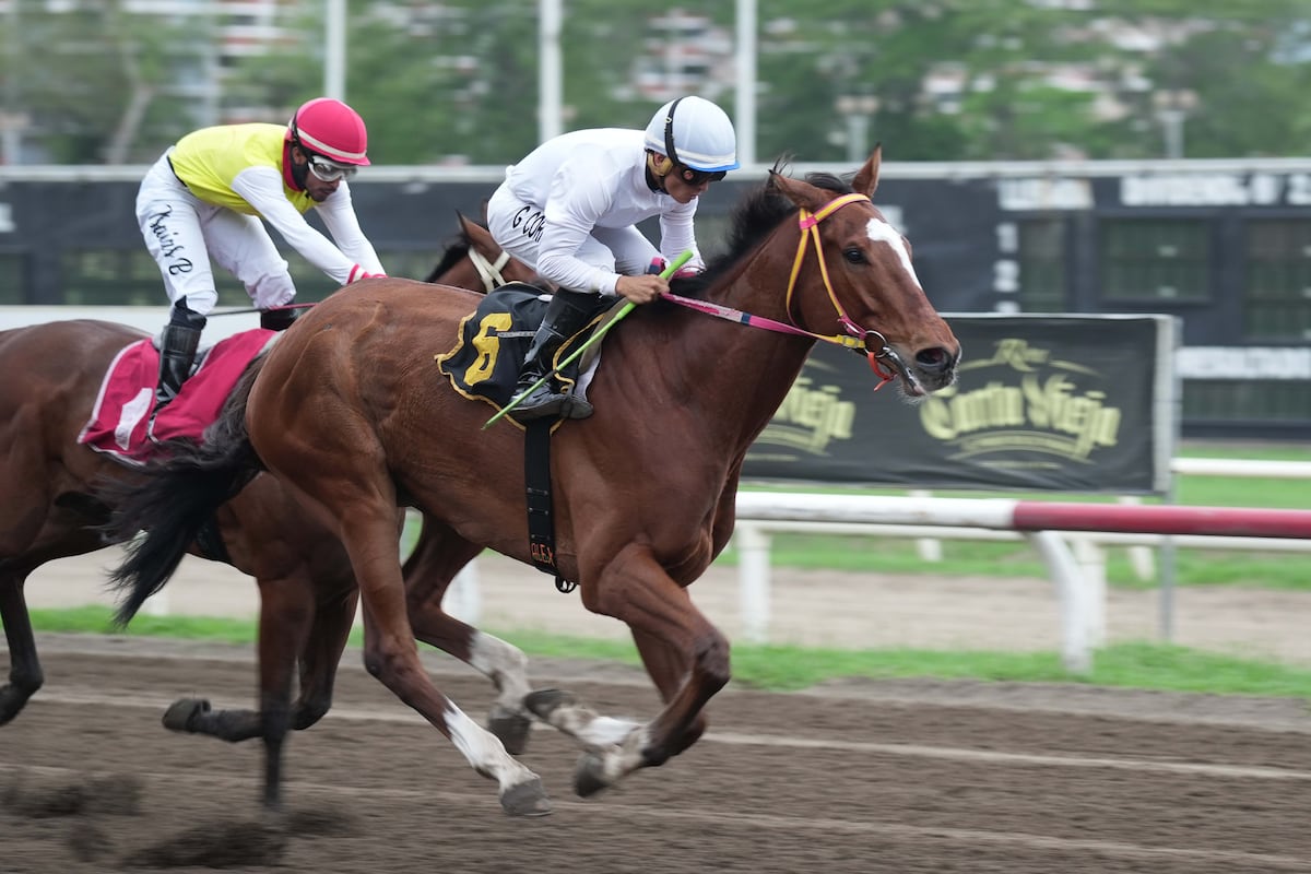 Reprograman Carreras en el Hipo-Remón por Partido de Panamá vs Guyana