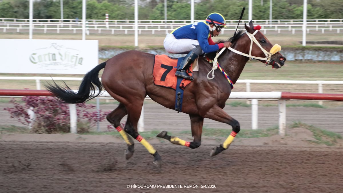Hipódromo Presidente Remón activa tres días de pura adrenalina
