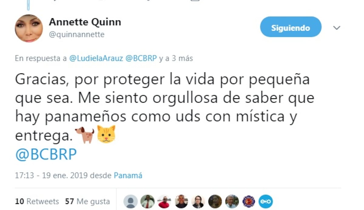 Bomberos rescatan dos cachorros de incendio en herbazal y revolucionan las redes