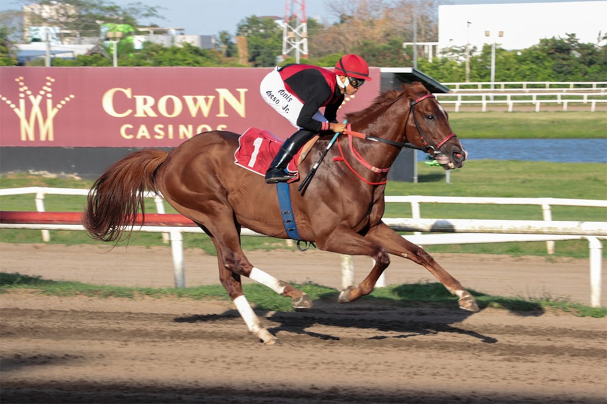 ¡Explosión en la pista! El Clásico Arias Paredes promete fuego puro en el Hipódromo Presidente Remón