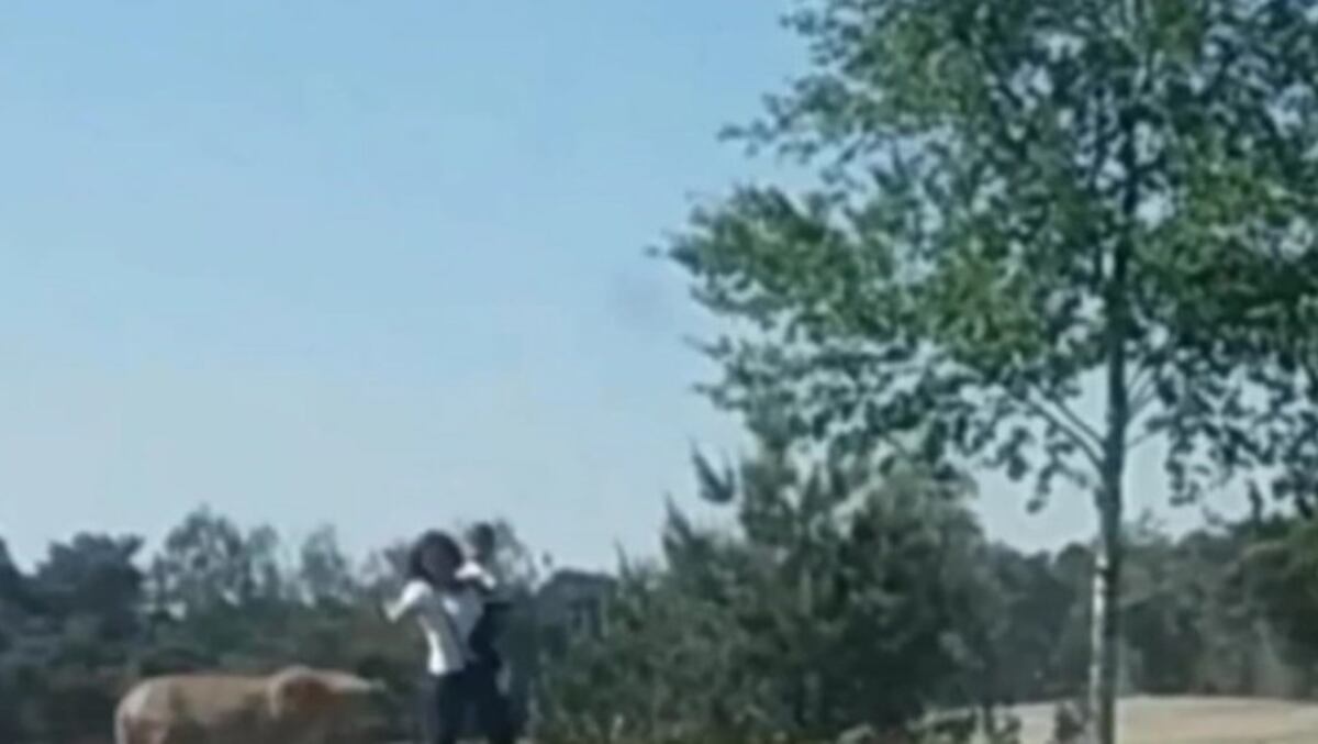 (Video) Tremendo susto se llevó esta mujer con su hijo al ser seguida por chitas