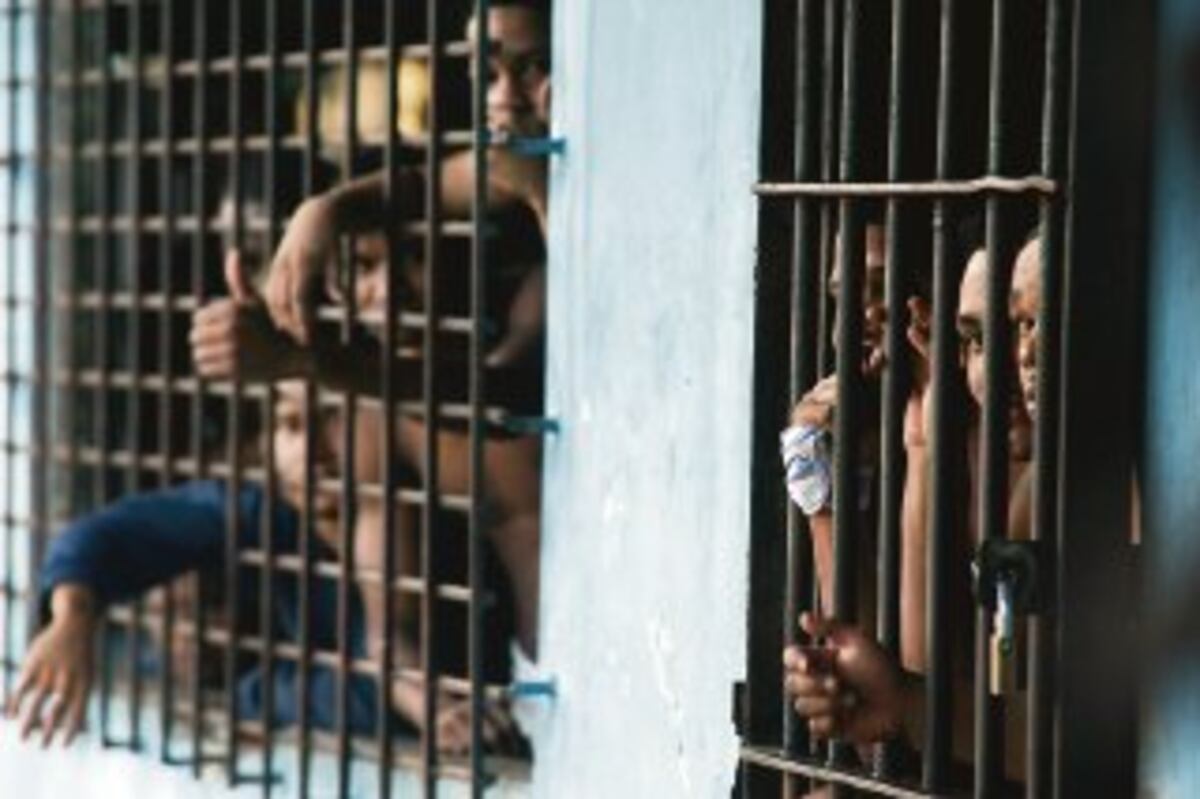 Unos 55 privados se benefician con Decrejo Ejecutivo