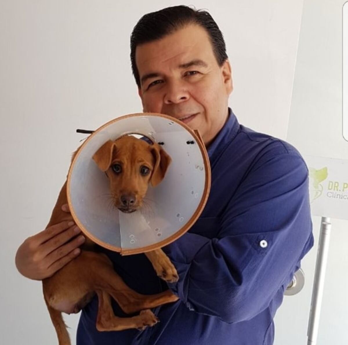 ¡INDIGNACIÓN! Por el caso una cachorra de cuatro meses que fue violada