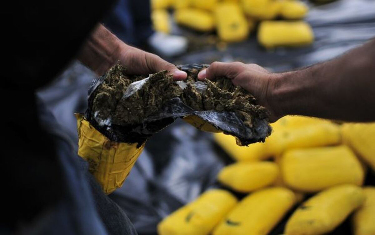 Policía Nacional destruyó más de 66 toneladas de droga en 2018