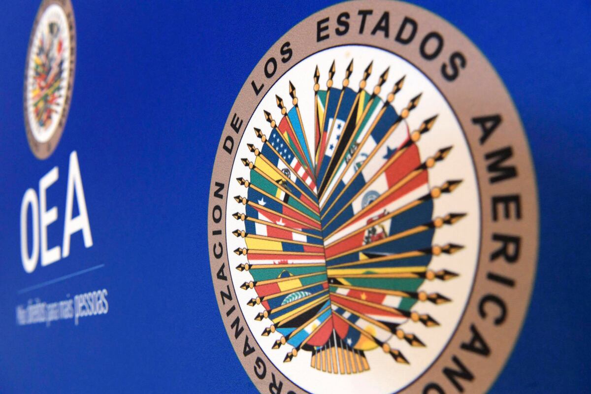 OEA comienza elaboración de ley