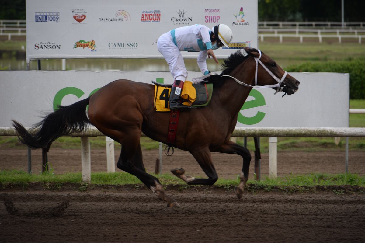 Doce ejemplares inscritos para el Clásico Ernesto (Neco), Ernesto y Joaquín de la Guardia