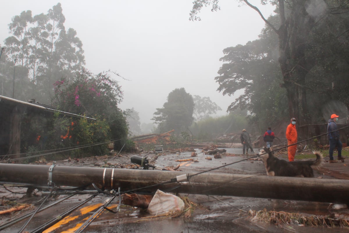 Atienden varios puntos críticos. Para abrir y reparar vías afectadas por deslizamientos tras las intensas lluvias