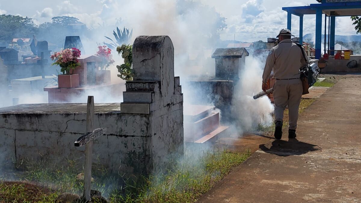 La provincia de Chiriquí registra más de mil casos de dengue clásico. Autoridades de salud están preocupados