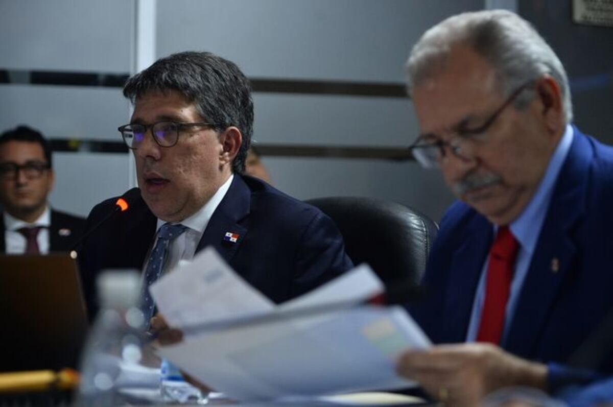 La Presidencia de la República anuncia cambios. Ducruet dejará el viceministerio. Explicaron por qué