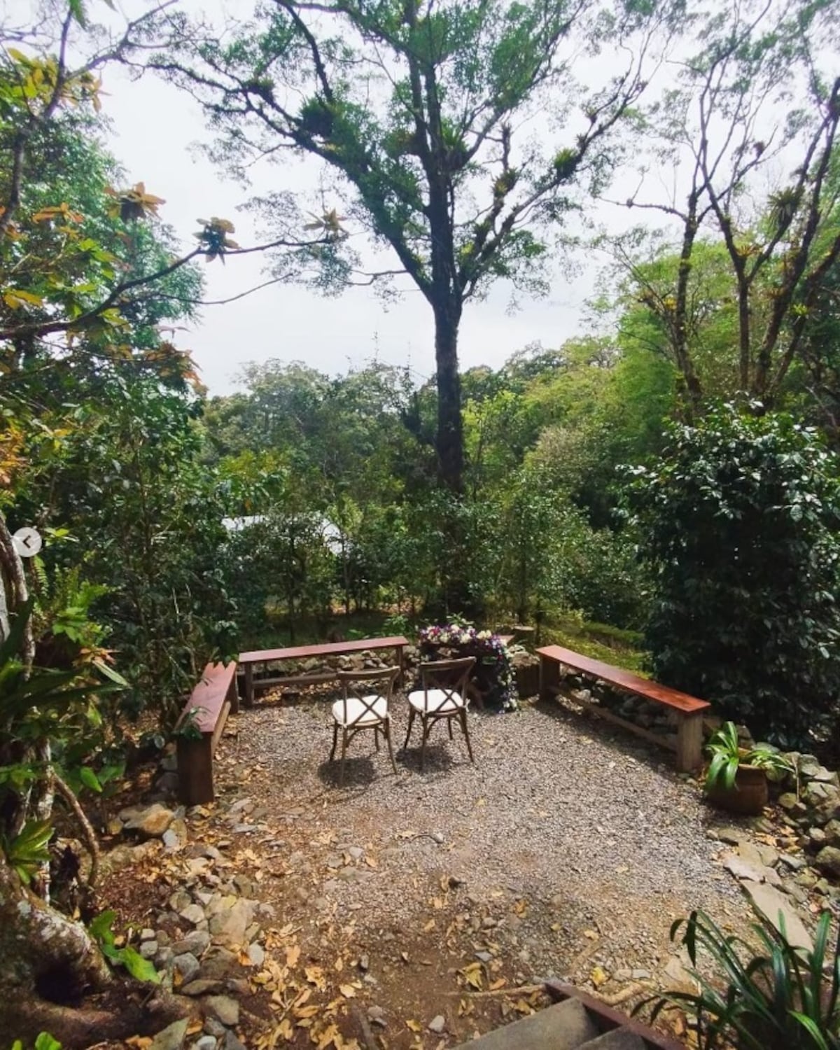 Diseñador Tony Vergara sorprende con vestido de novia de flores del campo para Kira, esposa del Chef Argimiro Armuelles