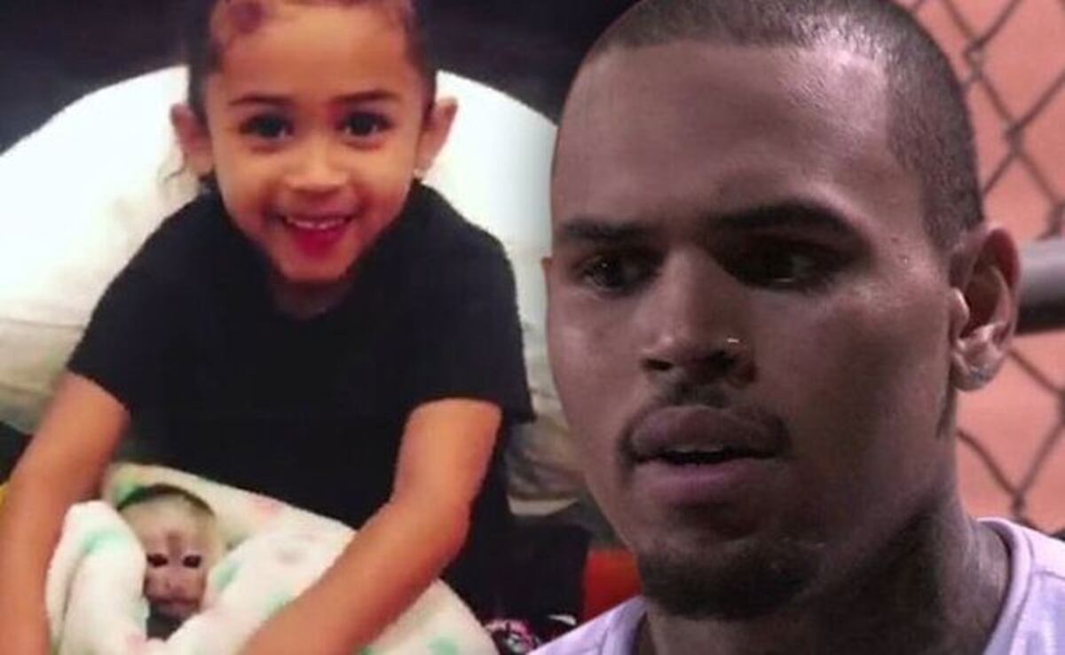 ¡SANTO CIELO! Chris Brown podría ir a la cárcel por tener mono de manera ilegal