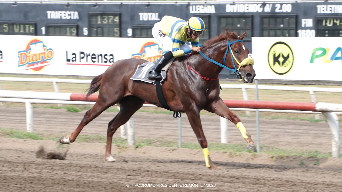 Hipódromo Presidente Remón activa tres días de pura adrenalina