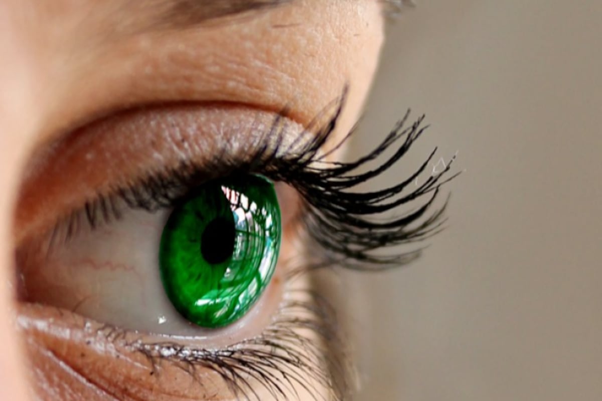 Especialistas alertan: ¡Peligrosa aparición de piojos por uso de pestañas postizas!