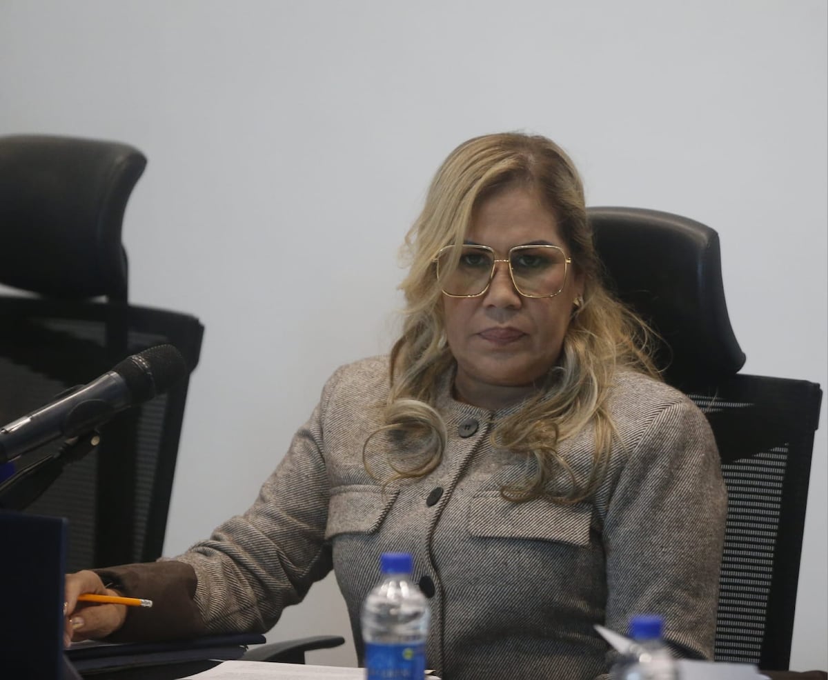Shirley Castañeda es la apuesta de RM para presidir la Asamblea Nacional