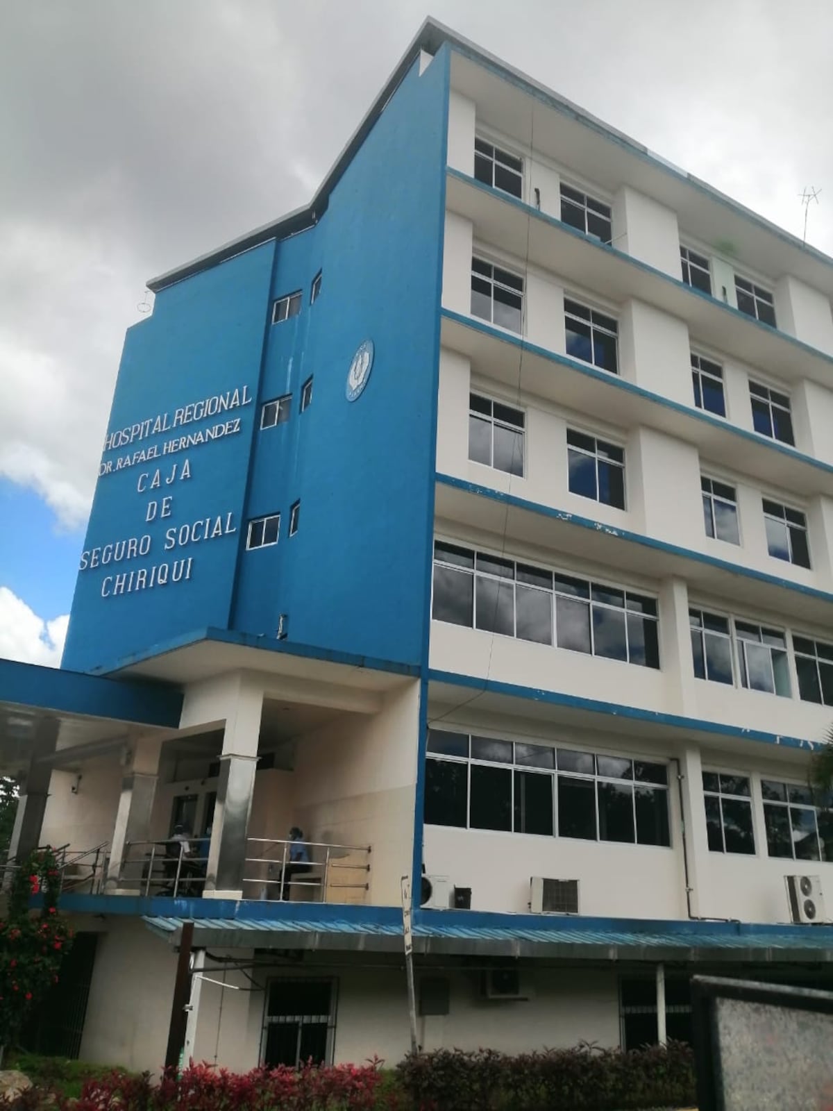 Perro pitbull le arranca la nariz a un adulto mayor en Chiriquí y lo deja en estado de gravedad 