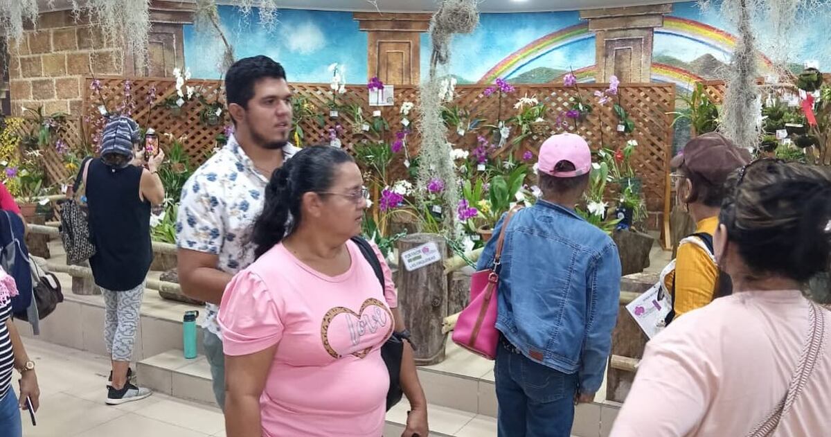 Orquídeas exóticas atraen la atención de los visitantes a la feria que se realiza en Boquete 