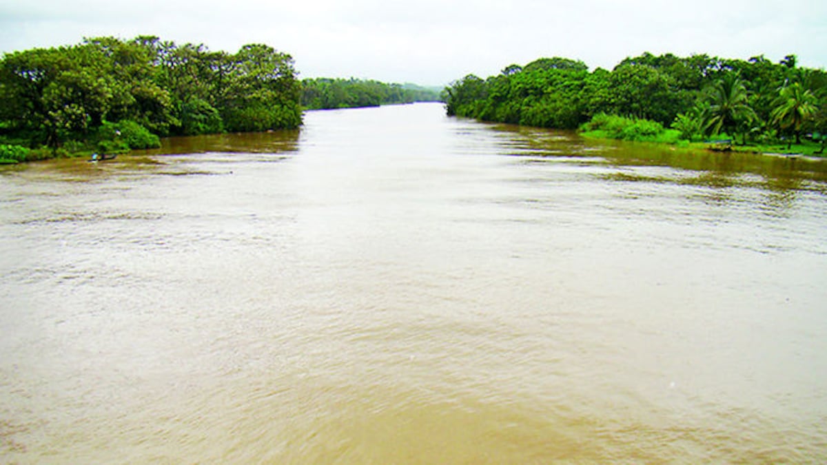 Embalse en Río Indio obligaría a incorporar corredores biológicos
