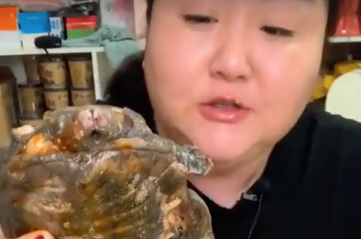 Cómo no va a haber coronavirus: Estas son las barbaridades que comen en China. Video